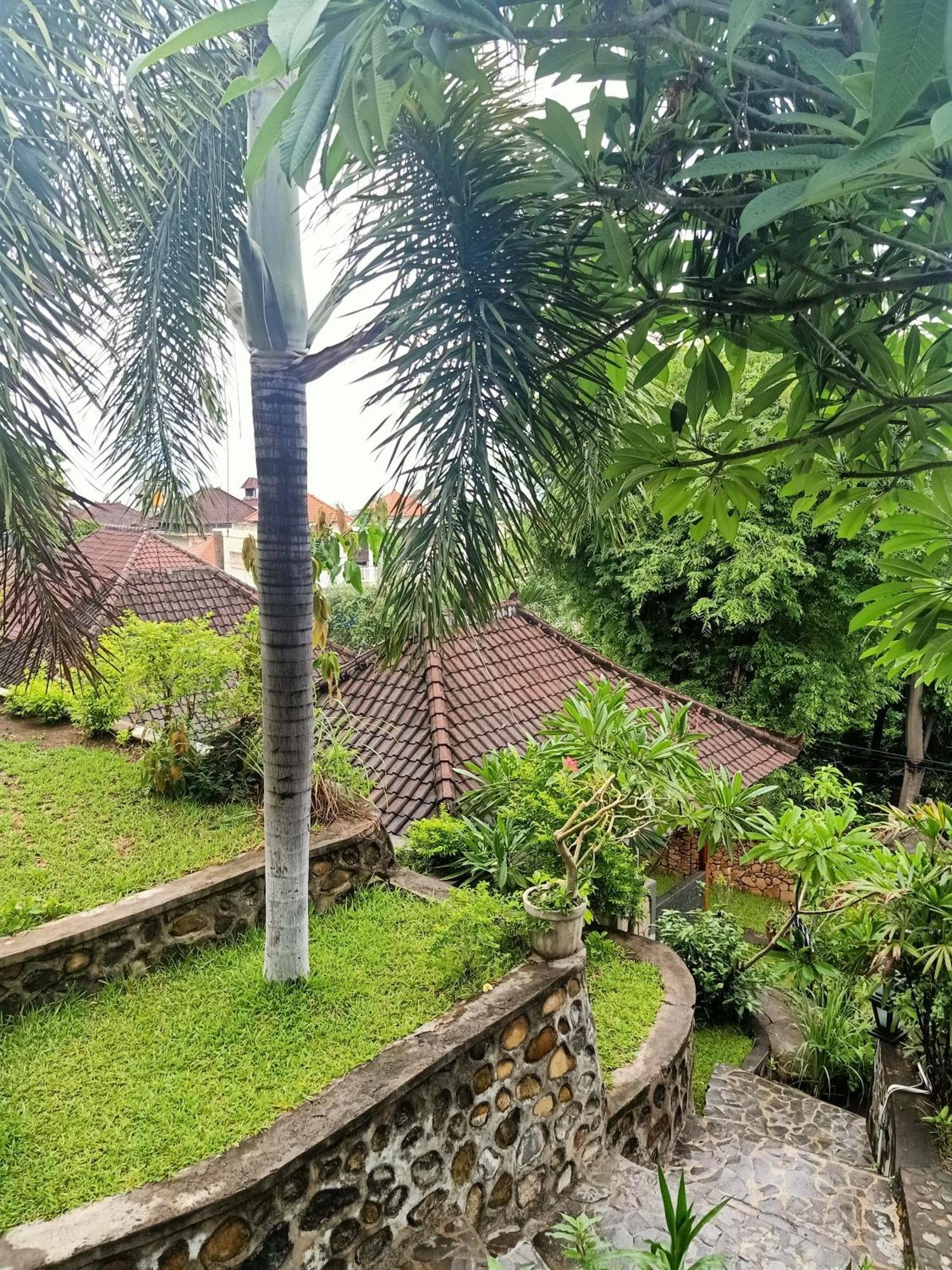 Апартаменты Bamboo Bali Амед Номер фото