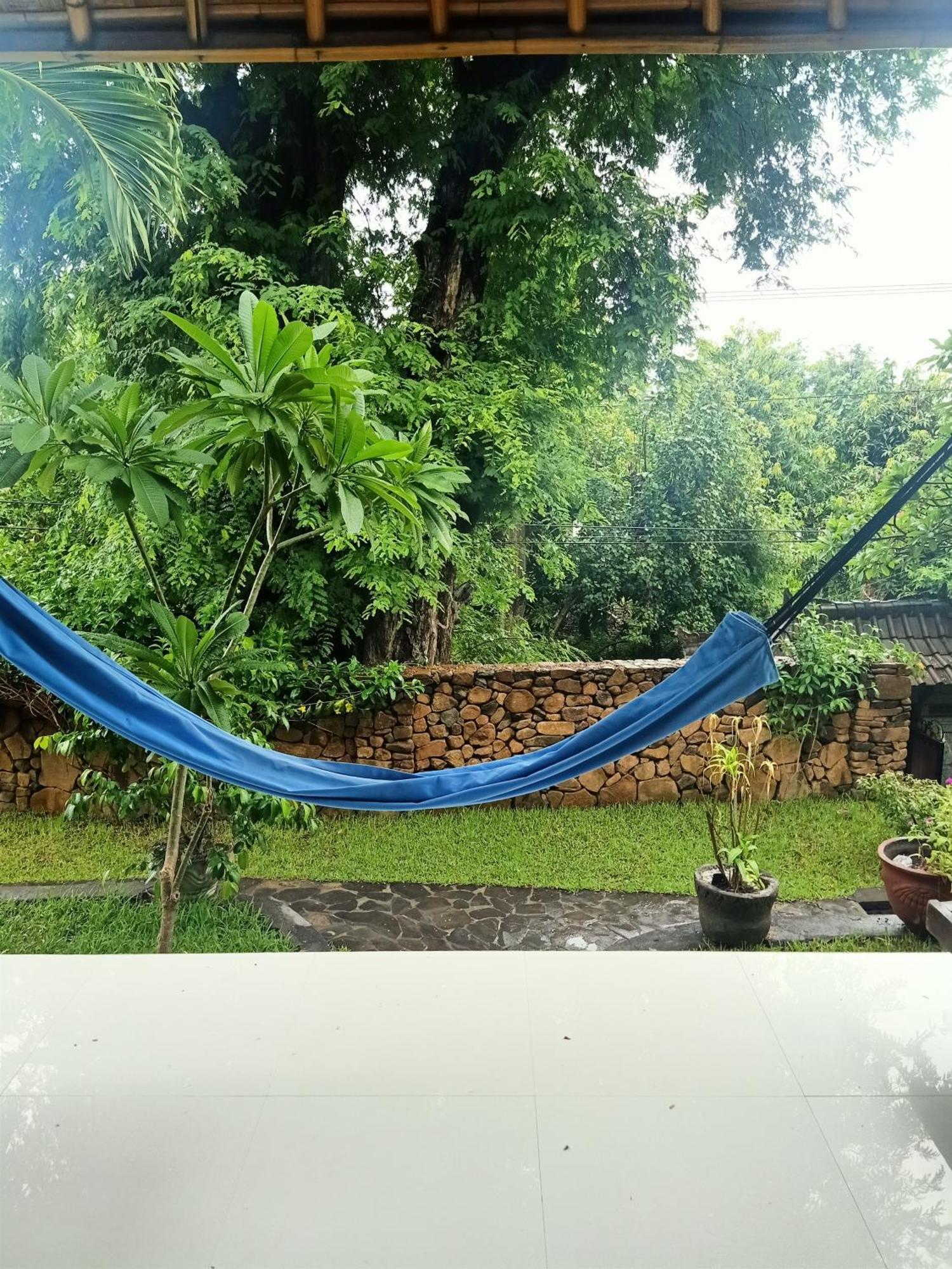 Апартаменты Bamboo Bali Амед Номер фото